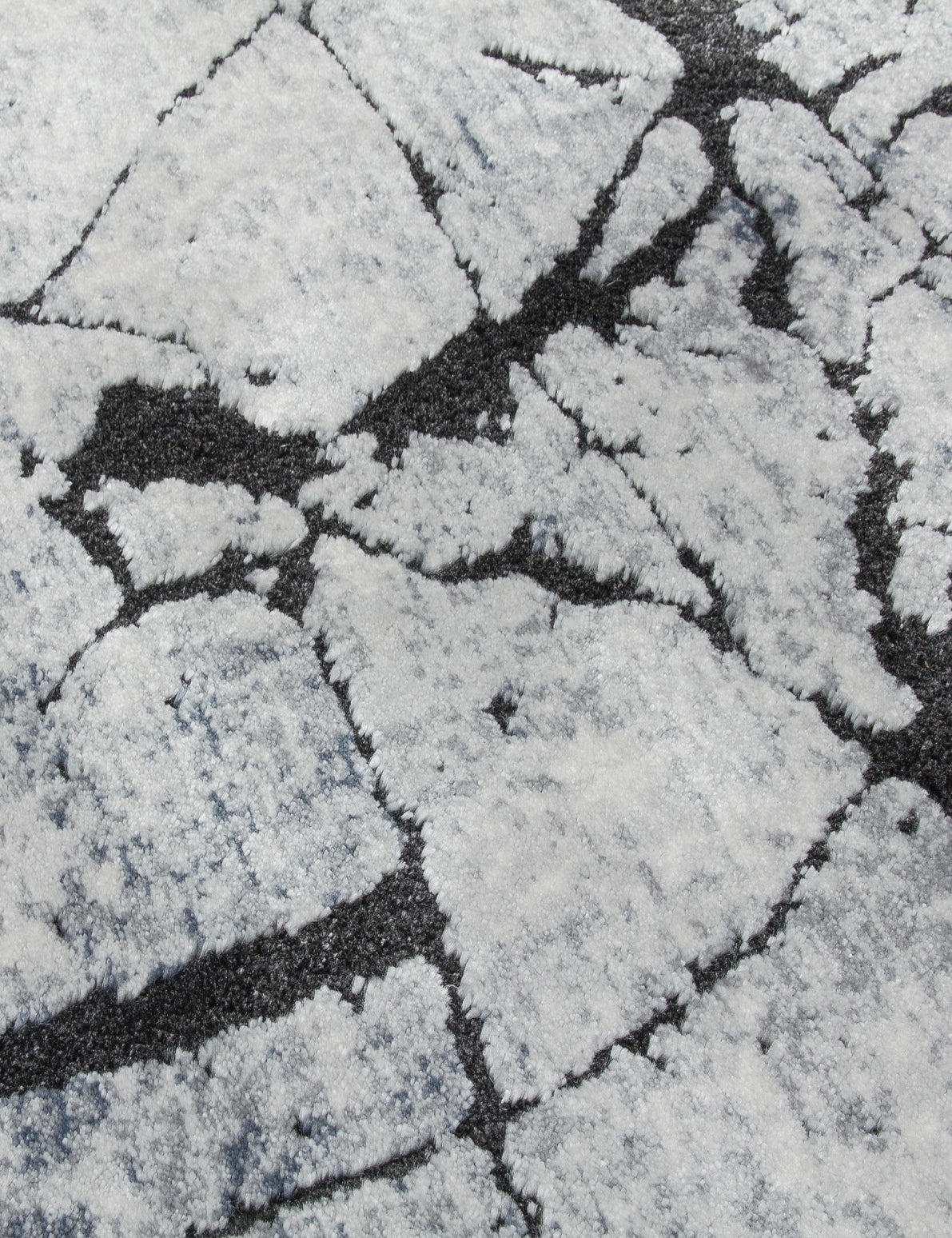 Rococo Glacial - Anthracite rug, photo 2