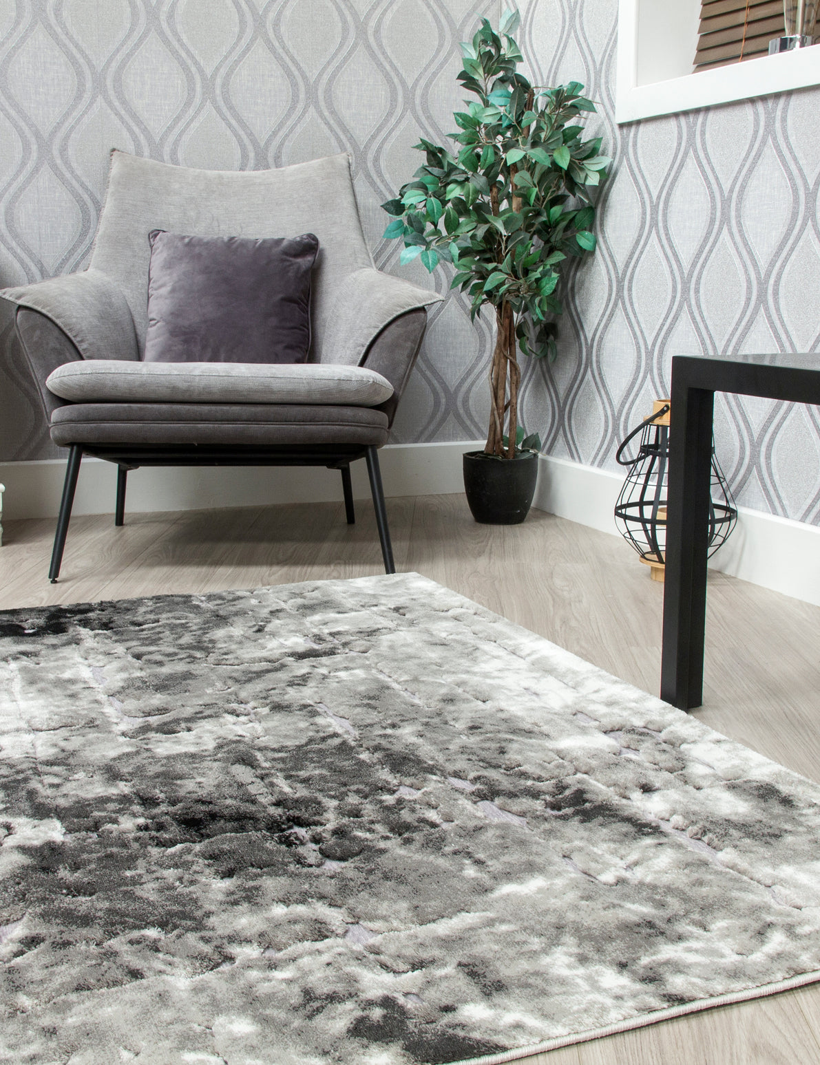 Bellini Mirage - Light Grey rug, 160 x 220 cm size